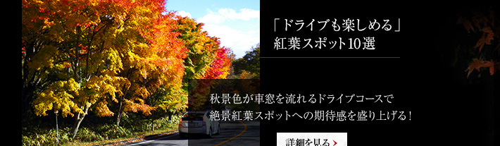 Yahoo 「紅葉特集2014」タイトル文字｜受注作品｜兎書屋